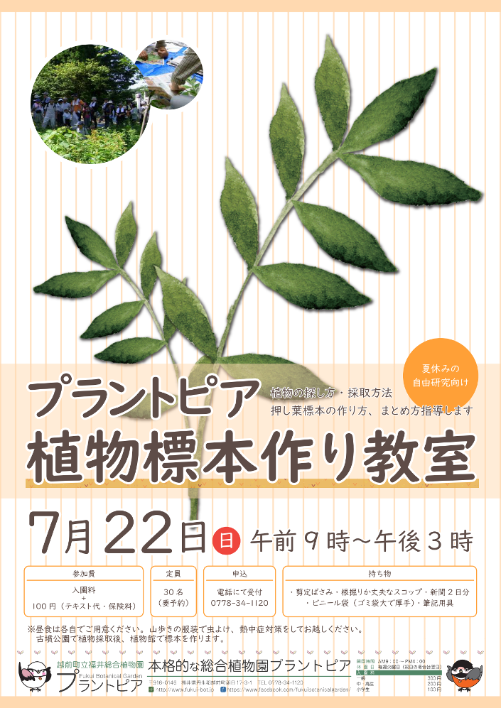 プラントピア自由研究応援企画 植物標本作り教室 イベント えちぜん観光ナビ