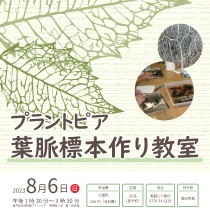 福井総合植物園プラントピア】葉脈標本作り教室｜イベント｜えちぜん