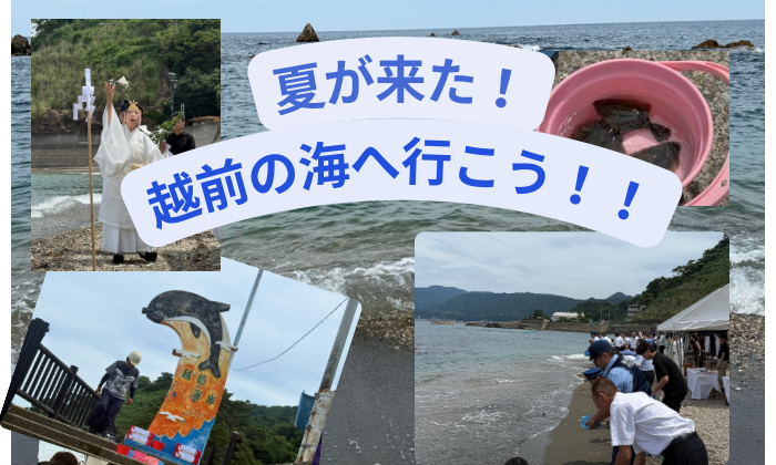 夏が来た!越前の海へ行こう!!