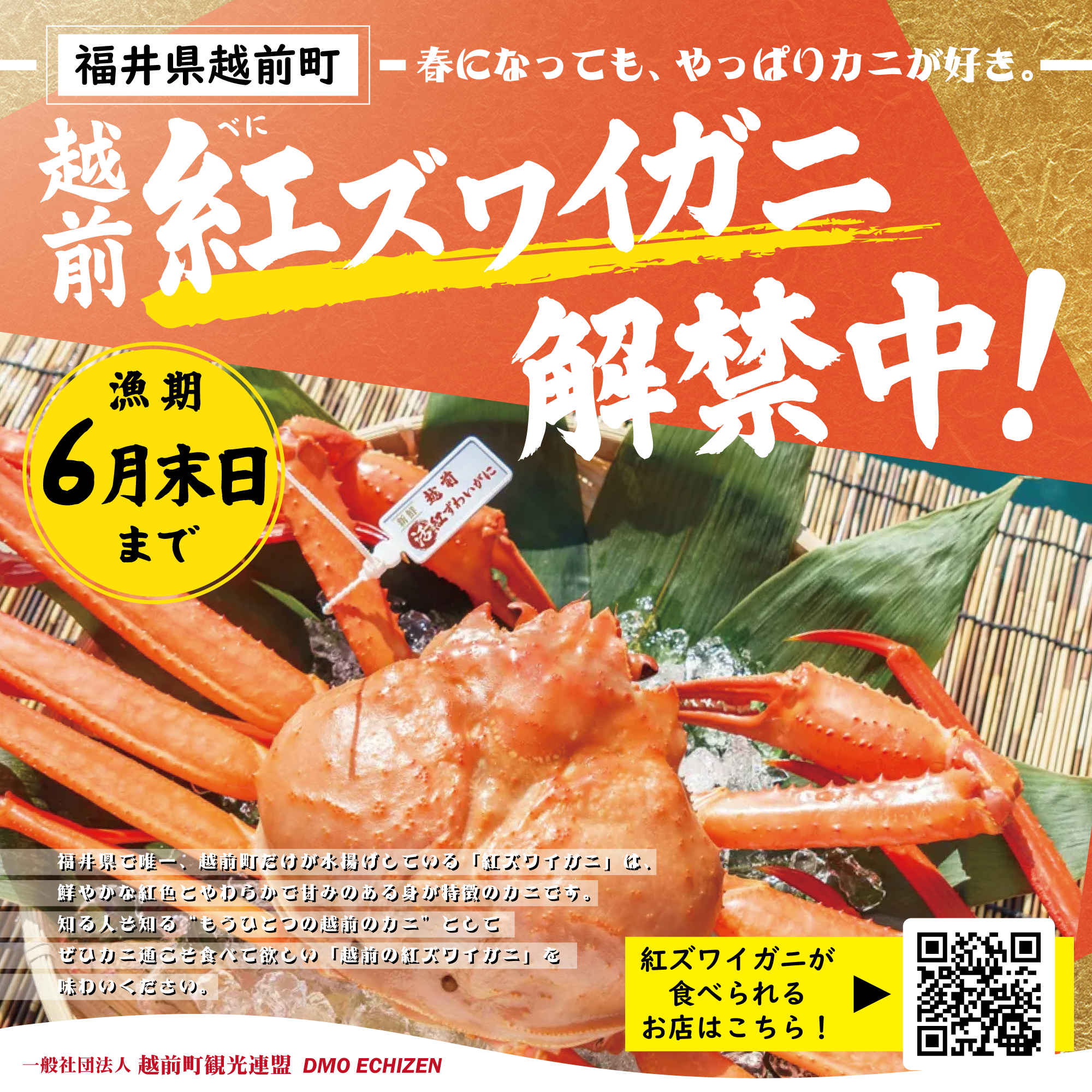 越前紅ズワイガニフェア2026【春】