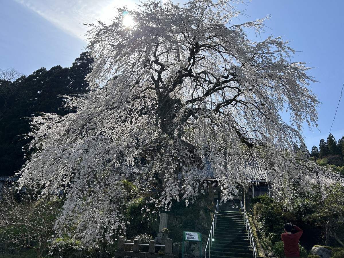 法華寺