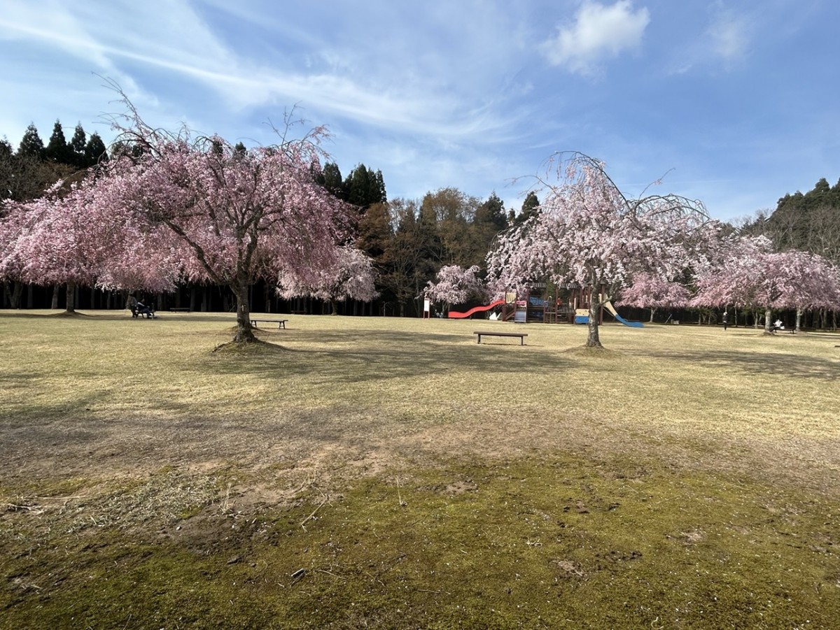 陶芸村