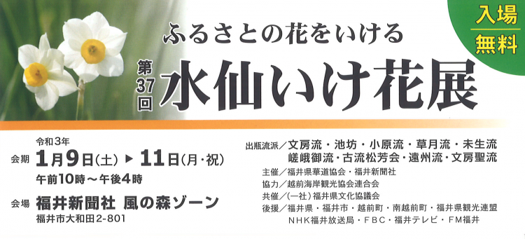 第37回水仙いけ花展 イベント えちぜん観光ナビ