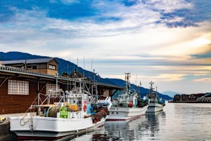 越前町で「底びき網漁」が9月1日に解禁されます!|ニュース ... 漁港の昼下がりーエビ網を干す