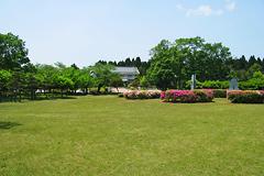 陶芸公園を散策