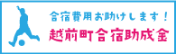 合宿誘致事業補助金