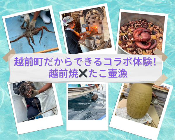 越前町だから出来るコラボ体験!!越前焼×たこ壺漁!!