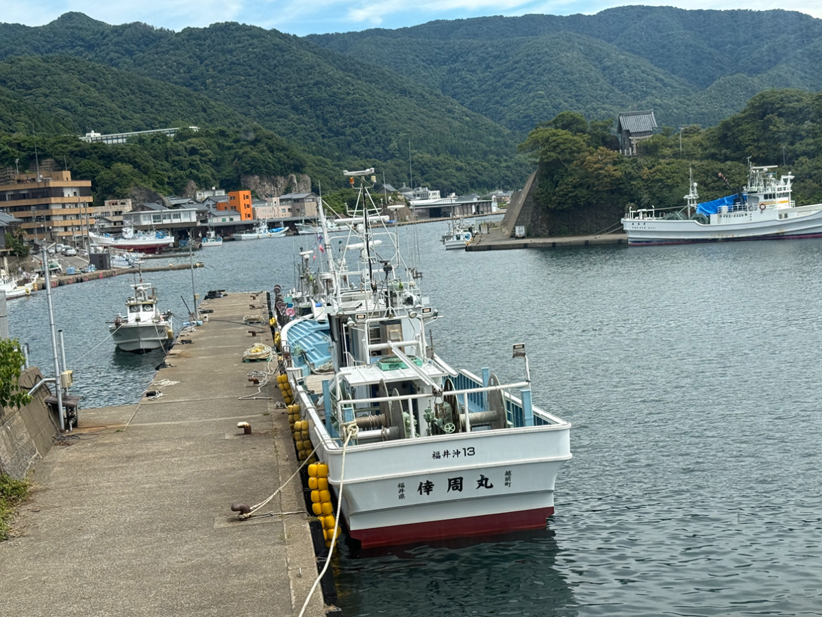景色