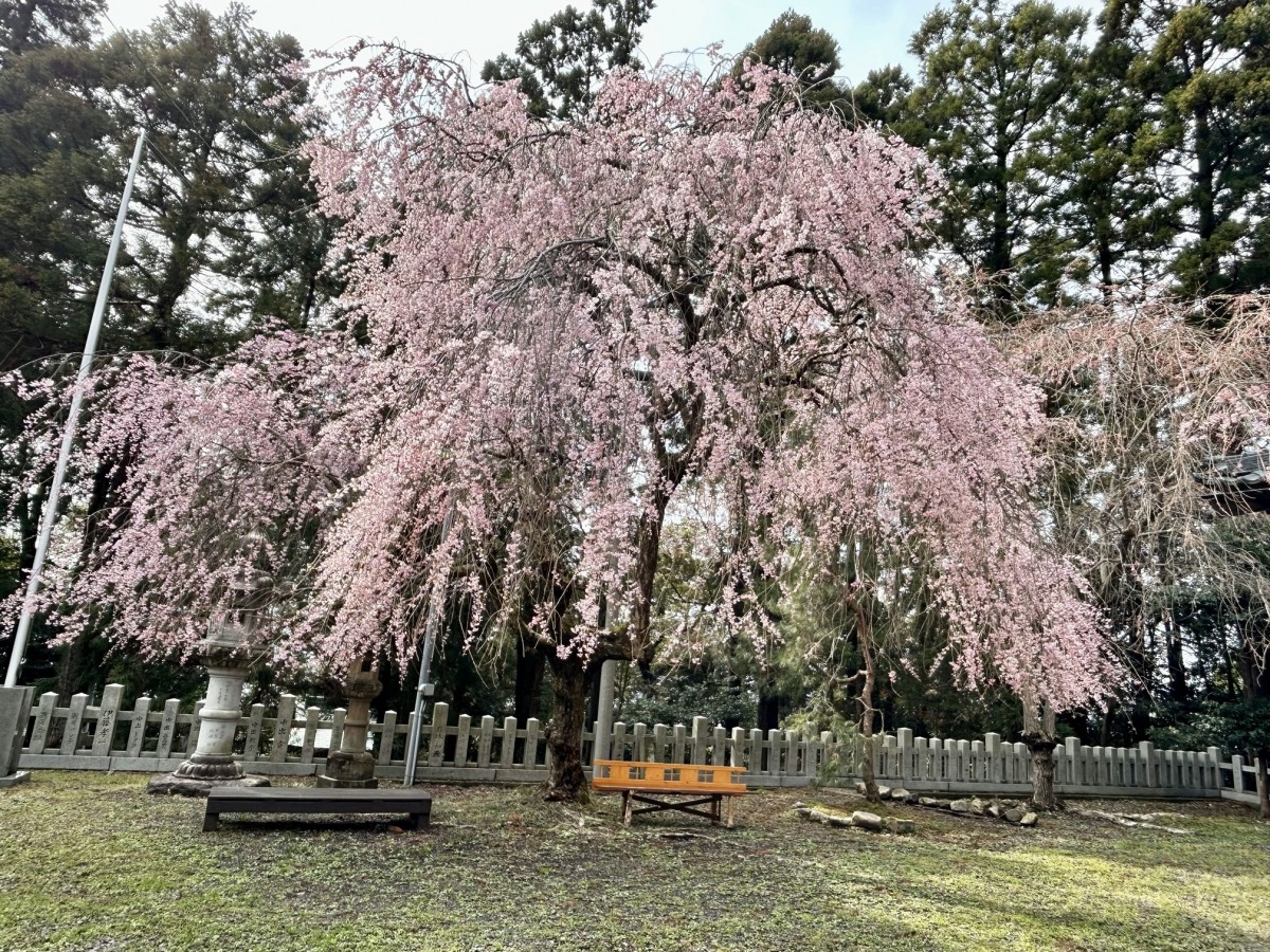 厨八幡宮