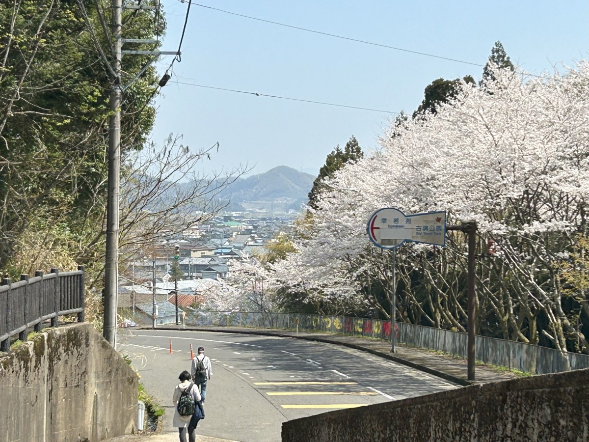 古墳公園