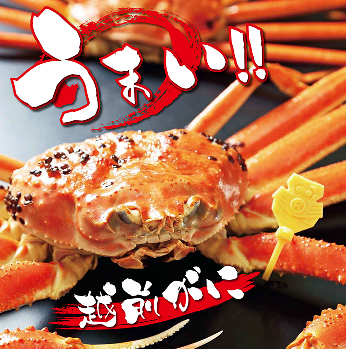 越前がに漁 3月20日で終了！