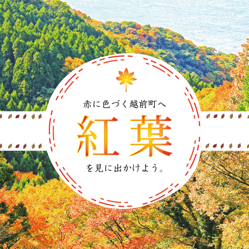 福井県越前町のおすすめ紅葉スポット５ヶ所をご紹介