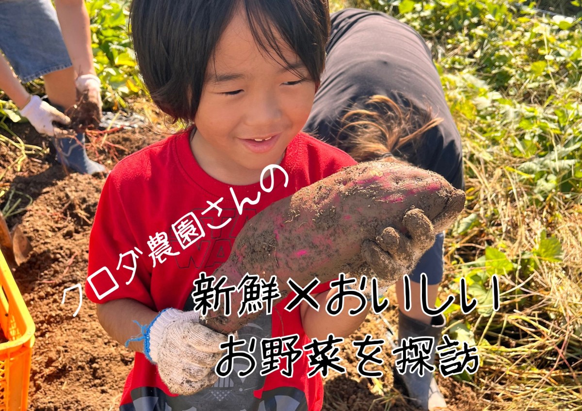 クロダ農園さんの新鮮×おいしいお野菜を探訪
