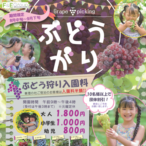 泰澄の杜ぶどう狩り