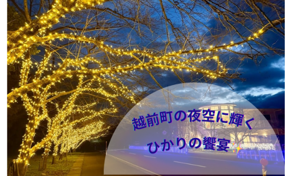 越前町の夜空に輝くひかりの饗宴