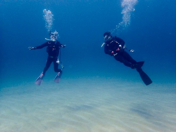 えちぜん春の海中散歩