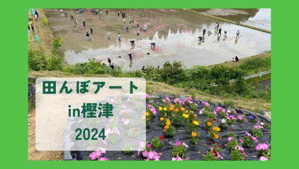 田んぼアートin樫津　2024