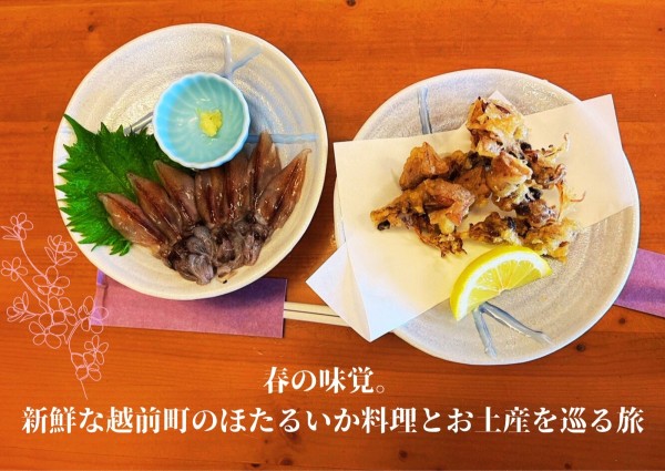 春の味覚。新鮮な越前町のほたるいか料理とお土産を巡る旅