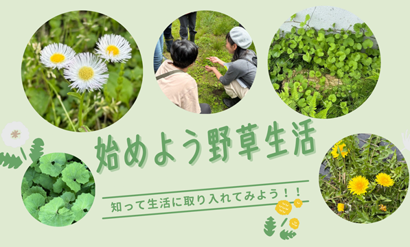 始めよう野草生活~知って生活に取り入れてみよう!!~