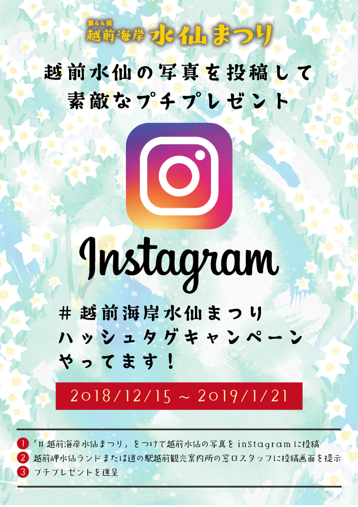 第44回越前海岸水仙まつりコラボ企画 越前海岸水仙まつりインスタグラムキャンペーン イベント えちぜん観光ナビ 第44回越前海岸水仙まつりコラボ企画 越前海岸水仙まつりインスタグラムキャンペーン イベント えちぜん観光ナビ