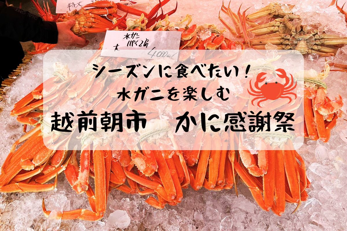 シーズンに食べたい! 水ガニを楽しむ「 越前朝市・かに感謝祭」