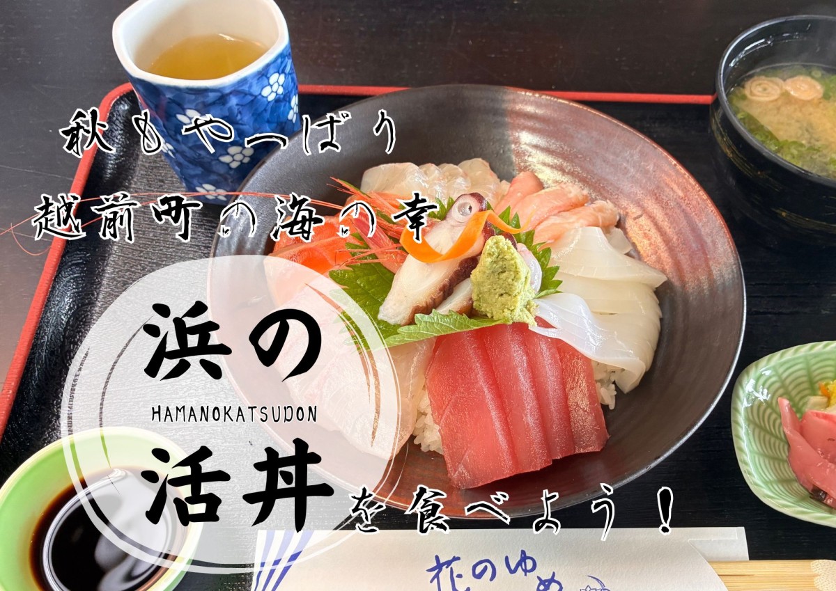 秋もやっぱり越前町の海の幸。浜の活丼を食べよう！