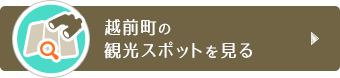 越前町の観光スポットを見る