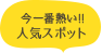 今一番熱い!!人気スポット